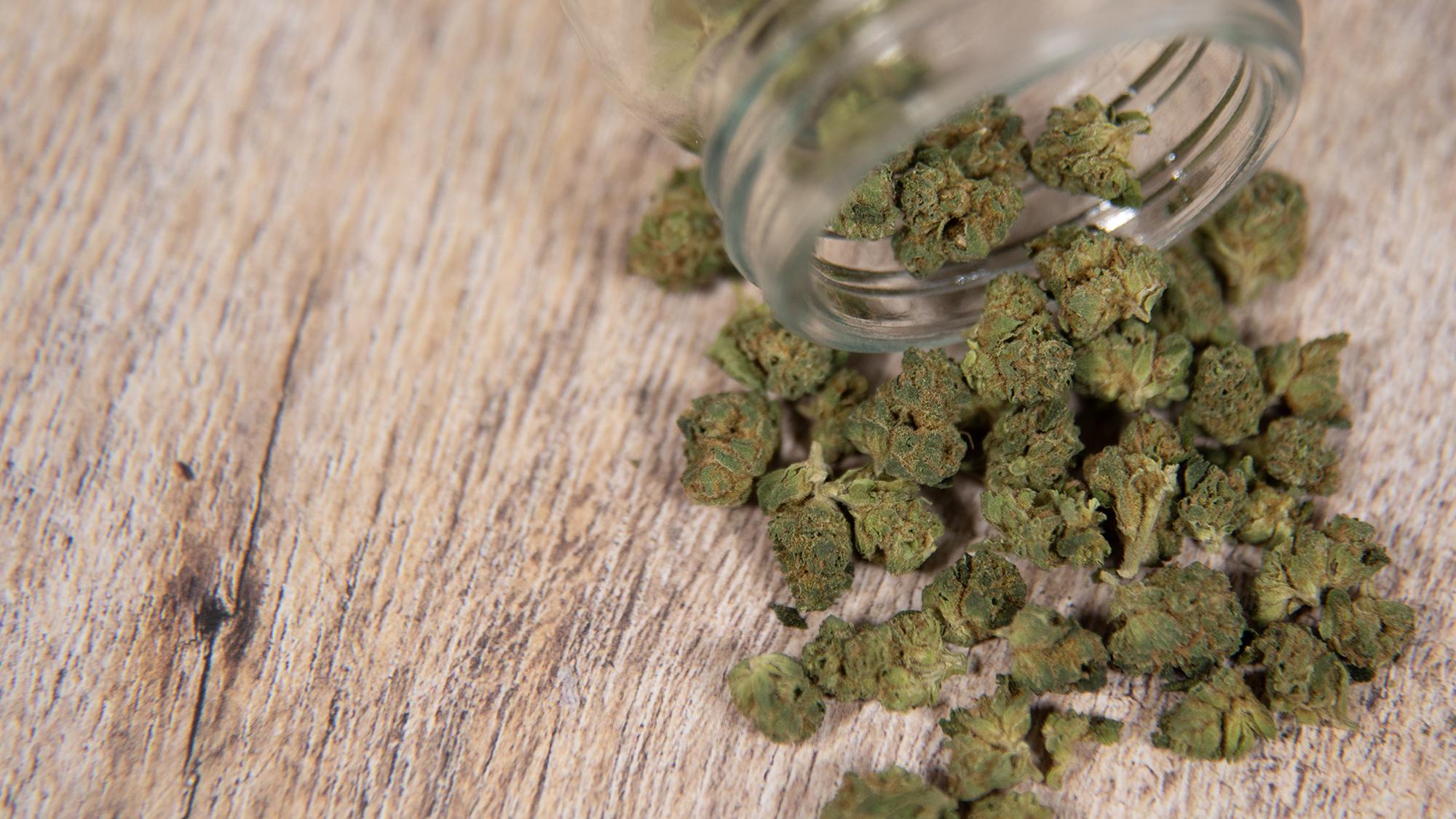 The Cannabist Company Expands Partnership with Old Pal, Bringing New Medical Cannabis Flower Products to West Virginia